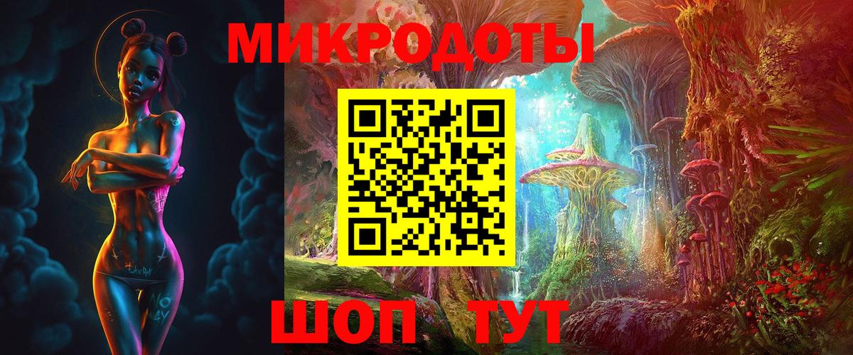 Галлюциногенные грибы Psilocybe Усть-Джегута